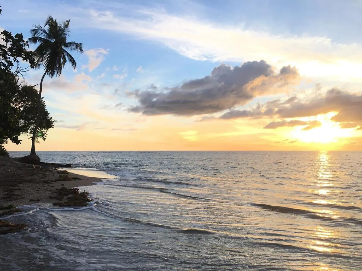 Chic Coastal Apartment Right On The Beach! Cabo Rojo